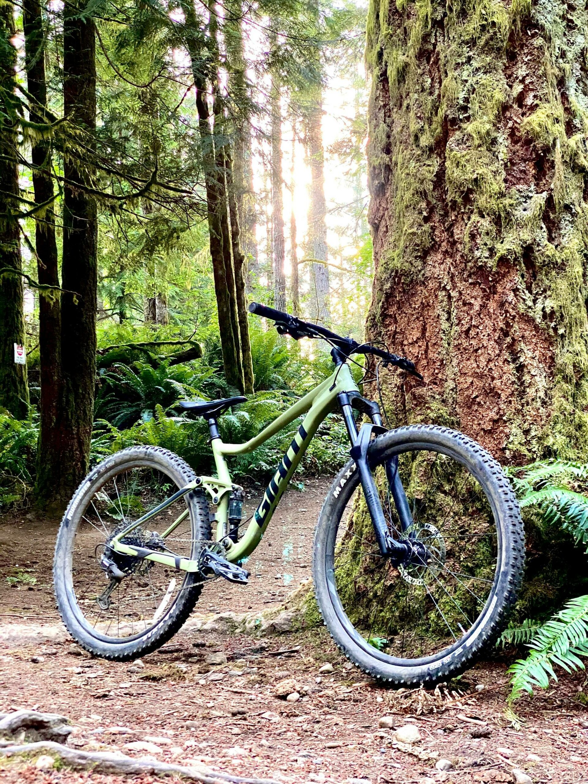 Super Mountain Bike-image