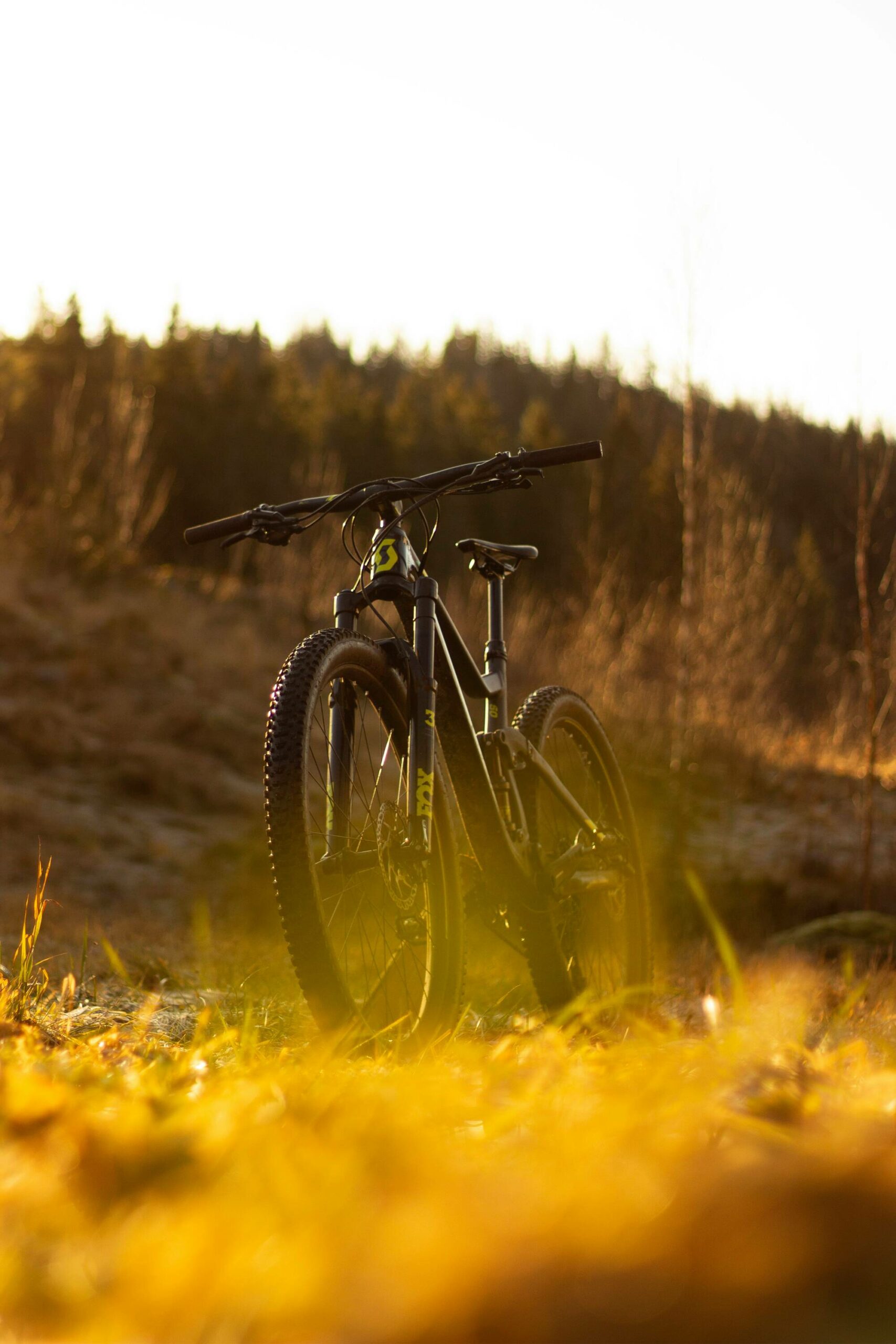 Premium Mountain Bike-image