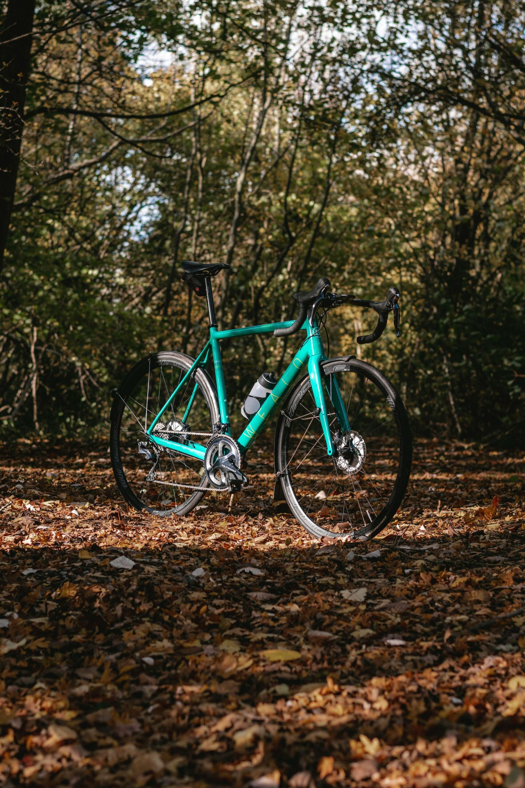 Everyday Road Bike-image